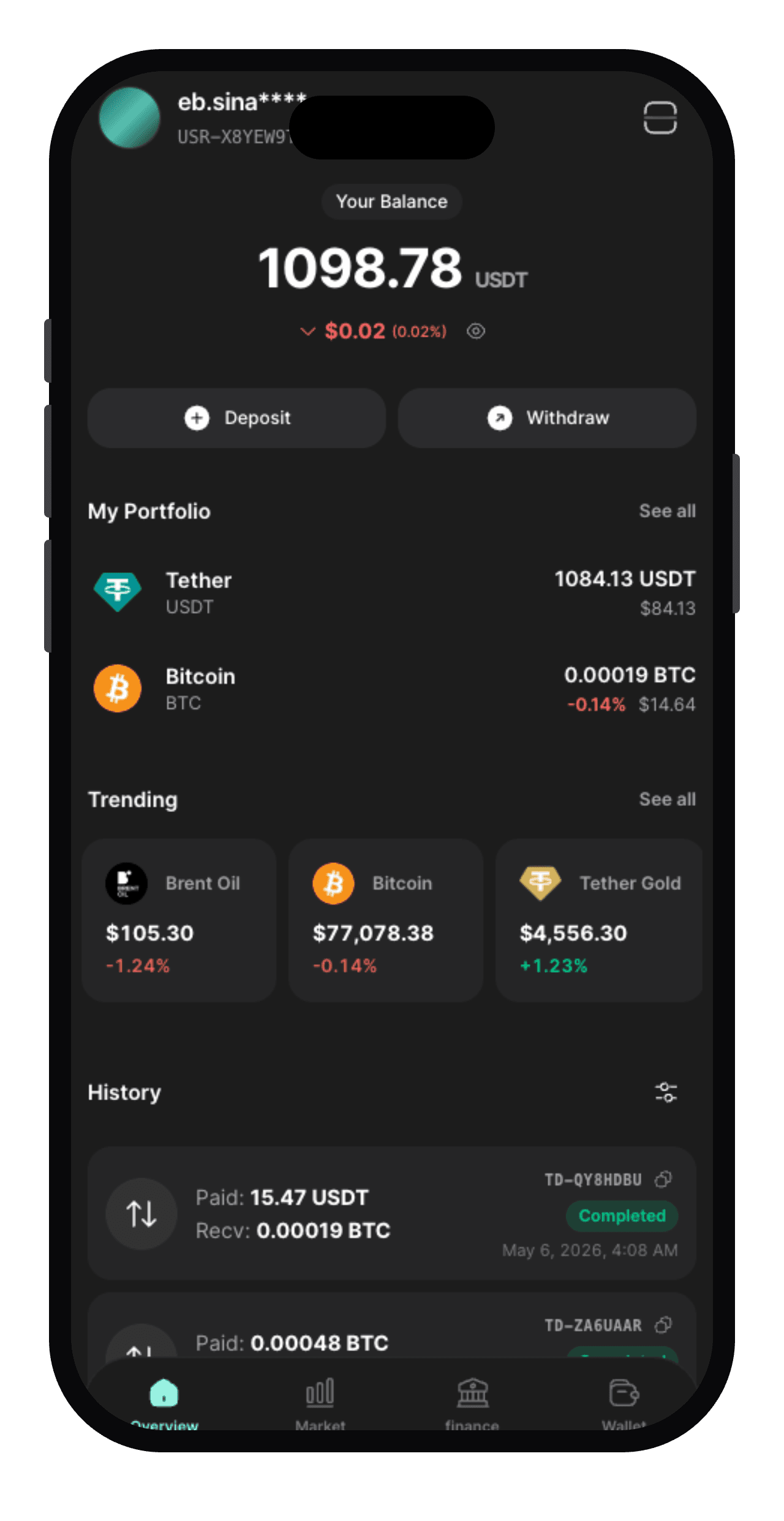 Halin portfolio overview